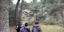 Un Día  Maravilloso en La Pedriza