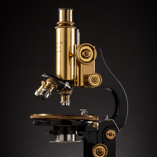 IES_ISABELLACATOLICA_BIOLOGIA_186