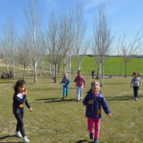 GRANJA ESCUELA ALBITANA 34