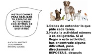 INTRUCCIONES TAREA 5