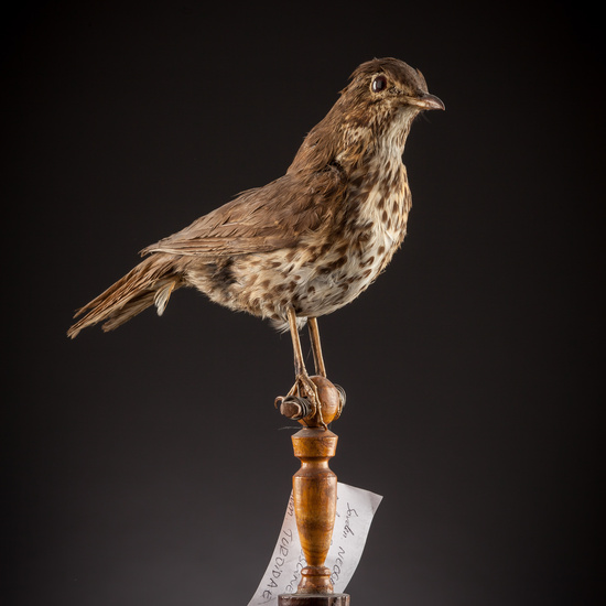 IES_SANISIDRO_BIOLOGIA_402