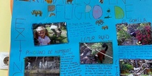 Proyecto animales en extinción 6
