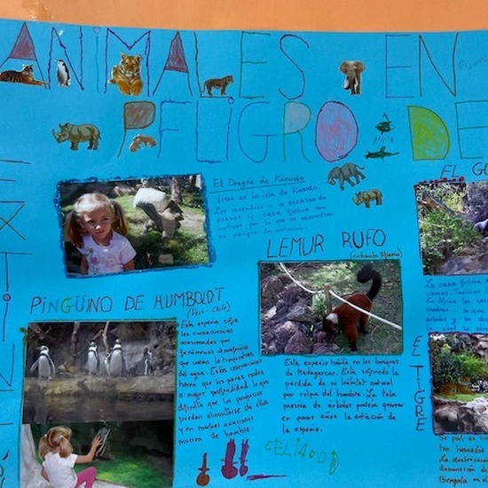 Proyecto animales en extinción 6