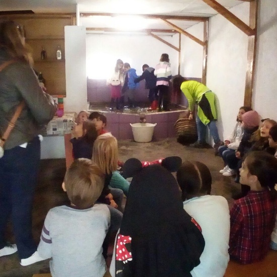 Granja Escuela 1º y 2º EP 2017-18 9