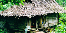 Casa de teca sobre pilares en jungla, Tailandia
