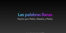 LAS PALABRAS LLANAS