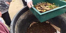 El huerto en febrero_Compost_CEIP FDLR_Las Rozas
