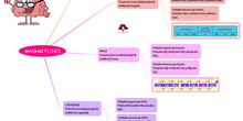 MATEMÁTICAS_MAGNITUDES_4
