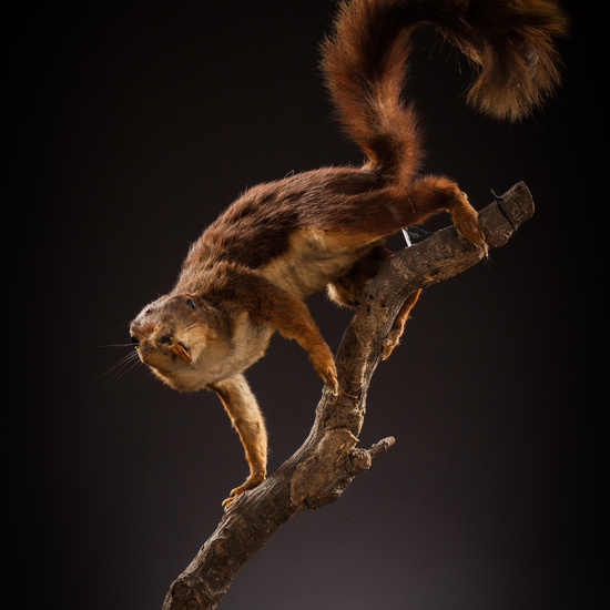 IES_CERVANTES_BIOLOGIA_058