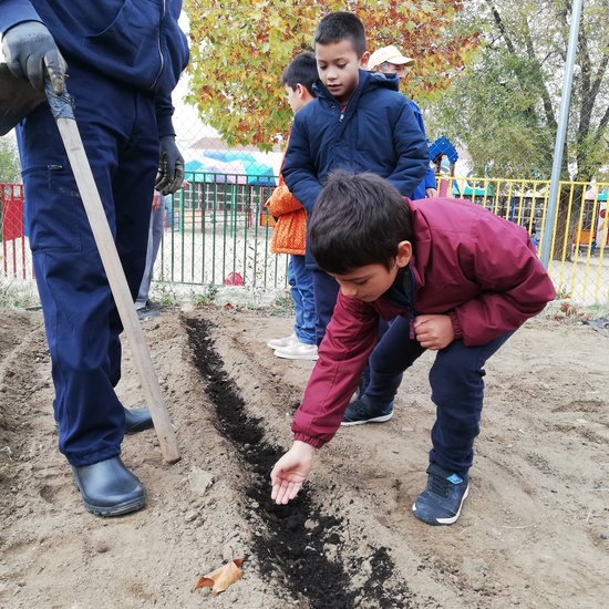 Huerto escolar 2019/20 48