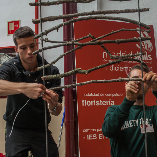 MADRID_SKILLS2016_002
