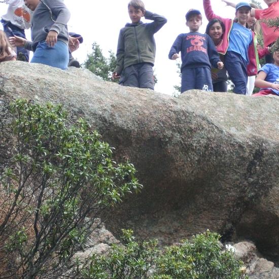 NIÑAS/OS DE 5º NATURALEZA VIVA EN LA PEDRIZA. HOSTOS POR EL PLANETA 8