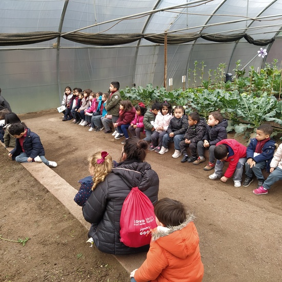 Granja de los cuentos  18