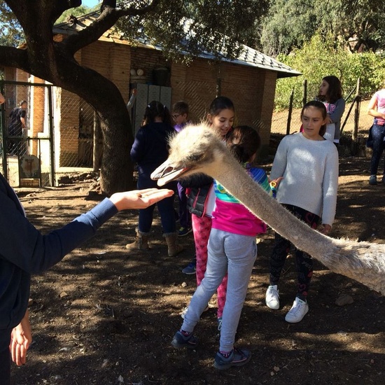 Mohernando 2017_4 14