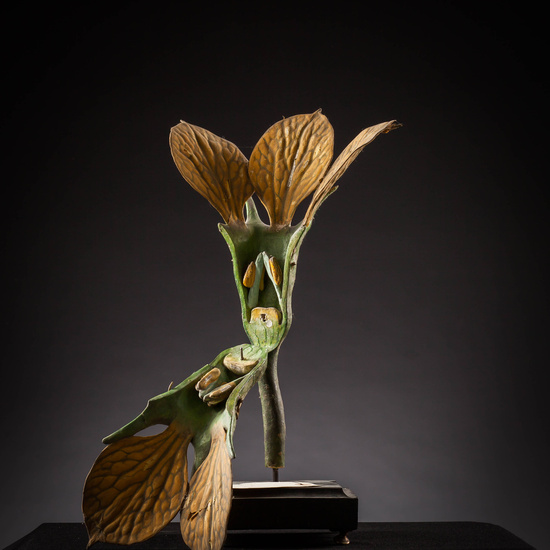 IES_SANISIDRO_MUSEO_Botanica_018