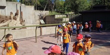 I5C Visita al Zoo 3