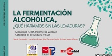 Fermentación alcohólica ¿Qué haríamos sin las levaduras?