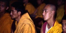 Monjes durante una ceremonia religiosa en el Monasterio de Rumte