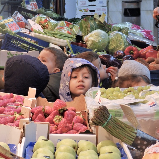 Salida al mercado 1