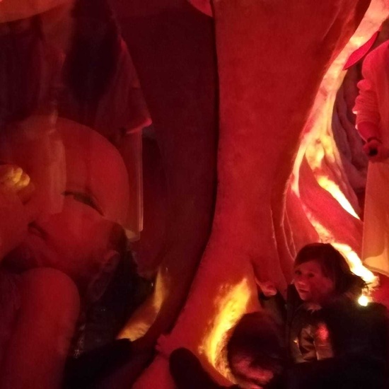 2019_12_18_Los monos azules visitan a la mujer gigante_CEIP FDLR_Las Rozas 1