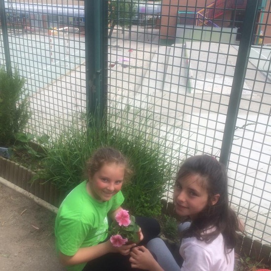2019_05_Los alumnos de 4º en el Huerto_CEIP FDLR_Las Rozas 25