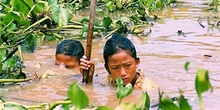 Niños trabajando abriendo sendas para barcos-taxi en el Tonlé Sa