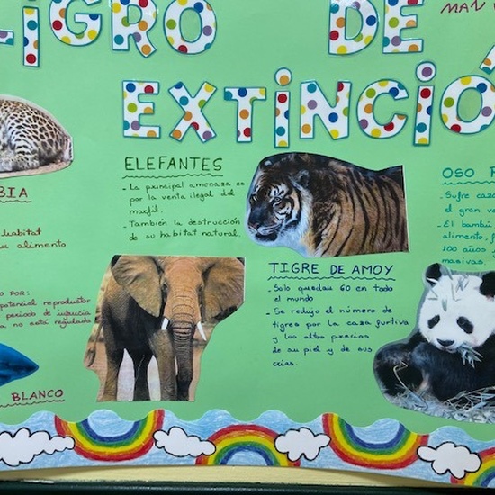 Proyecto animales en extinción 11