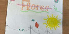 Cuento 7. Eva y Amalia.