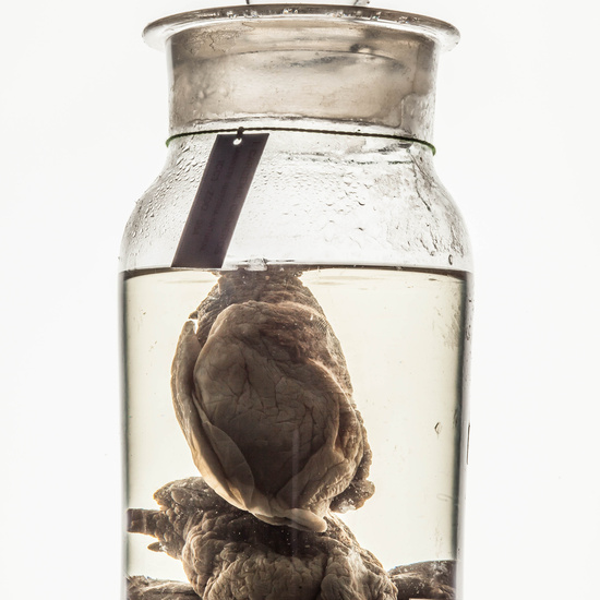 IES_CARDENALCISNEROS_CIENCIASNATURALES_032