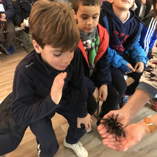 2020_02_27_3º visita Insectpark (5)_CEIP FDLR_Las Rozas 28
