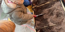 Jardineras en I3 años_CEIP FDLR_Las Rozas