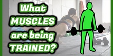 QUIZ: What MUSCLES are being TRAINED? 