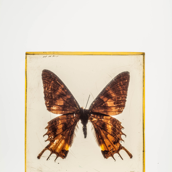 IES_CARDENALCISNEROS_CIENCIASNATURALES_096