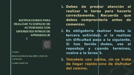 Instrucciones t5