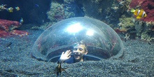 FOTOS AQUARIUM 1 27