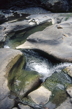 Curso de un río entre las rocas