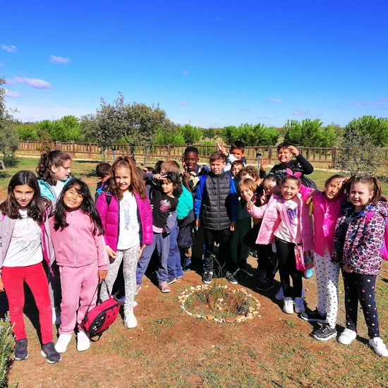 Salida Bosque Sur.3º de Primaria. Octubre 2019 5