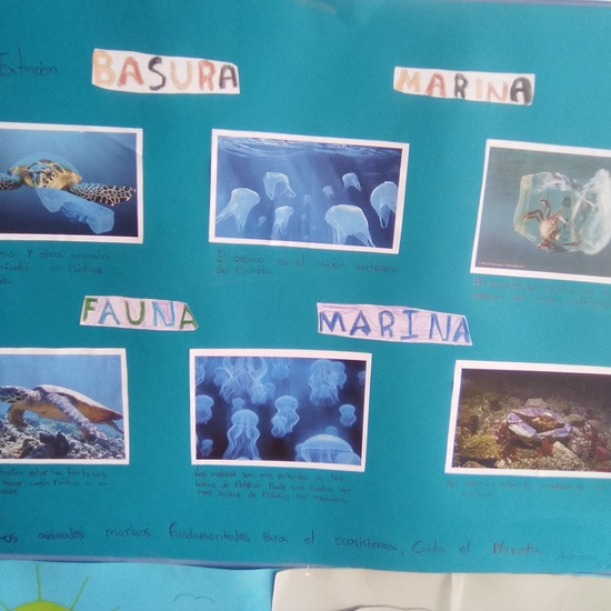 Semana por el clima 2019 - Ecoescuela San José 16