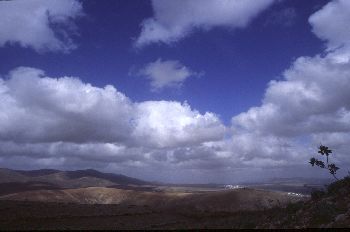Paisaje canario, Canarias
