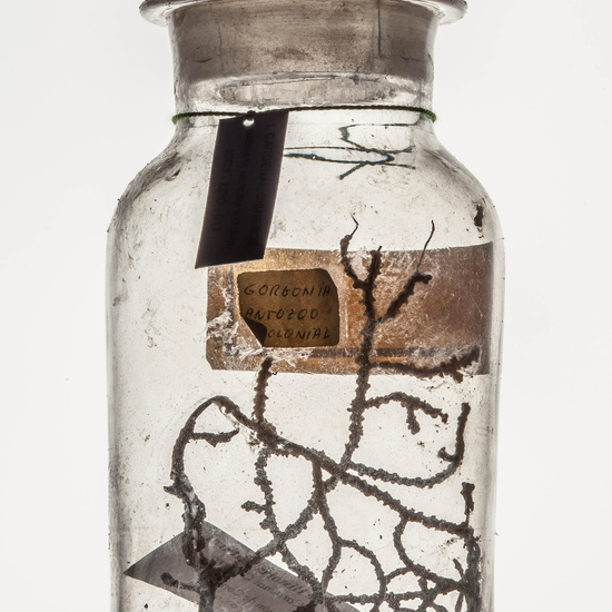 IES_CARDENALCISNEROS_CIENCIASNATURALES_054