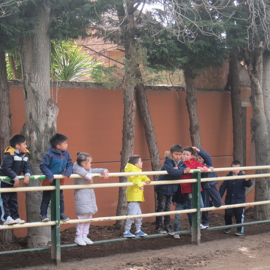 Granja Escuela Educación Infantil Curso 2017-18 25