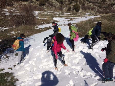 2018_02_7_SEXTO DE EXCURSION EN ZARZALEJO_CEIP FDLR_LAS ROZAS 9