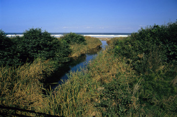 Arroyo del Acebo en la playa de Vega, Ribadesella, Principado de
