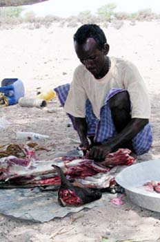 Hombre preparando comida, Rep. de Djibouti, áfrica