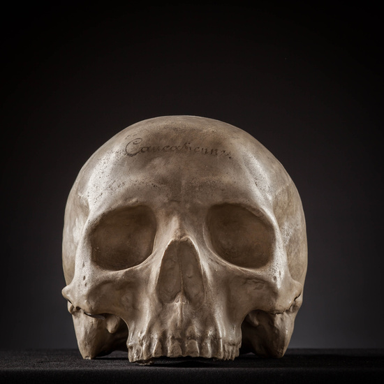 IES_SANISIDRO_MUSEO_Craneos_028