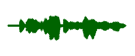 PRIMERA COSECHA DEL HUERTO_8