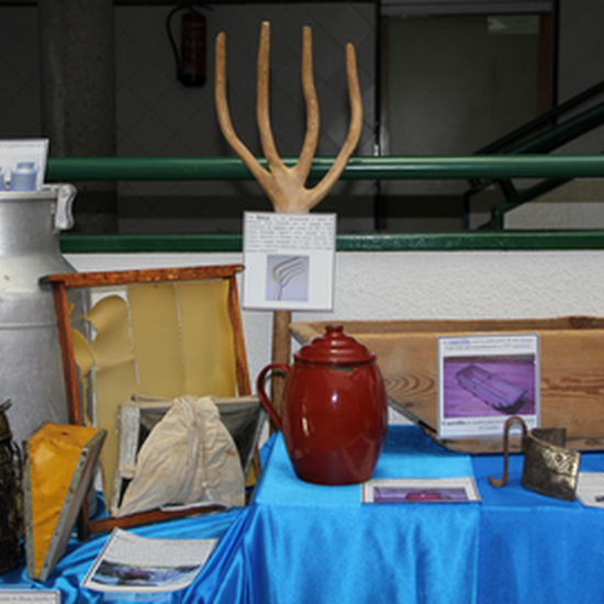 Semana de la Alimentación 23