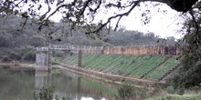 Presa romana de Cornalvo - Parque Natural de Cornalvo, Badajoz