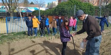 1º de Primaria_Plantamos garbanzo  16