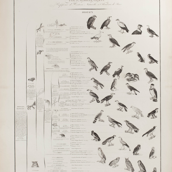 IES_CARDENALCISNEROS_ZOOLOGIA_I_LAMINAS_003
